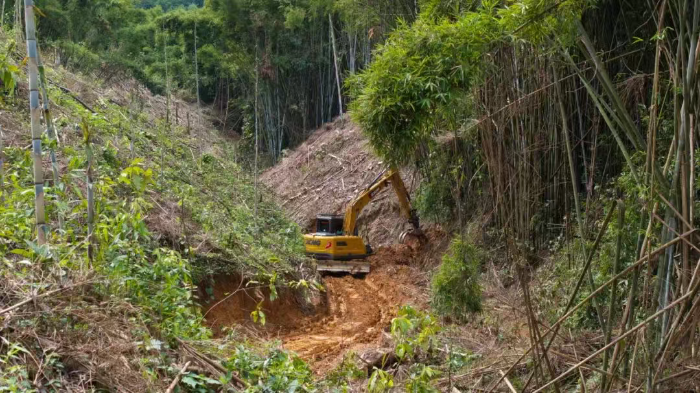 林間“藏龍”，竹?！芭P虎”——徐工林業(yè)挖機(jī)廣西俠客行